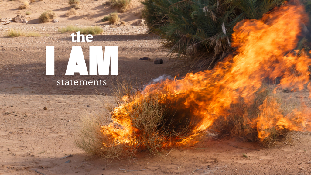 John 10 | I AM the Good Shepherd